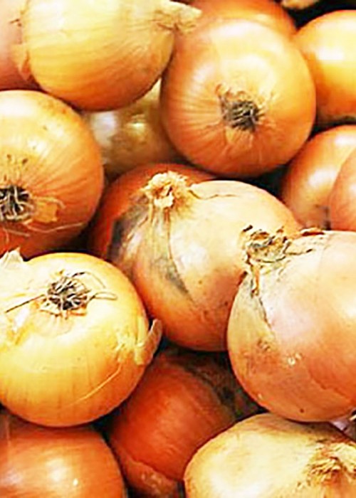 White Onion eng