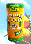 Orange Float 240ml
