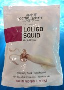 Loligo Squid com