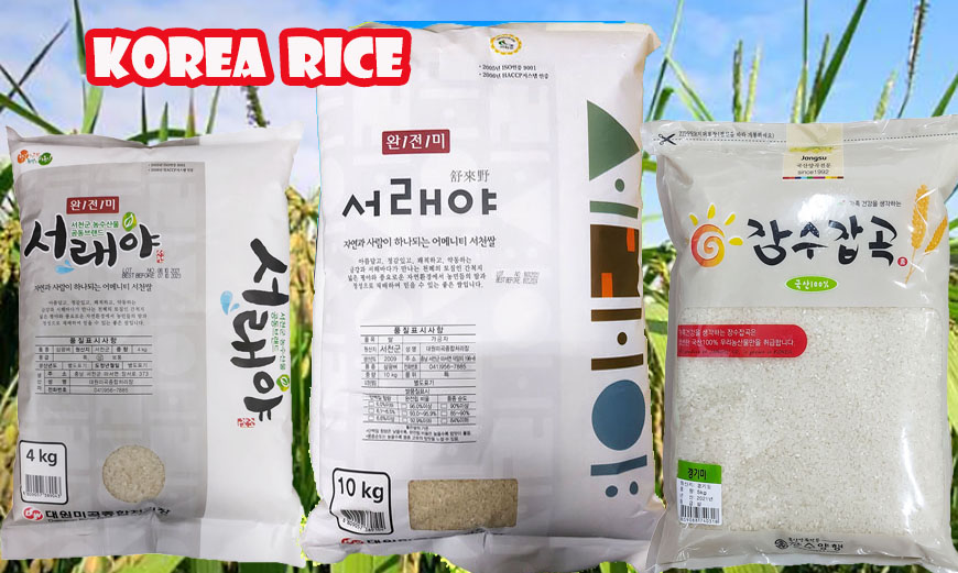 korea Rice