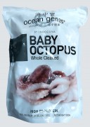 Baby Octopus1 com
