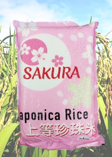 Sakura 5kg 이미지 com