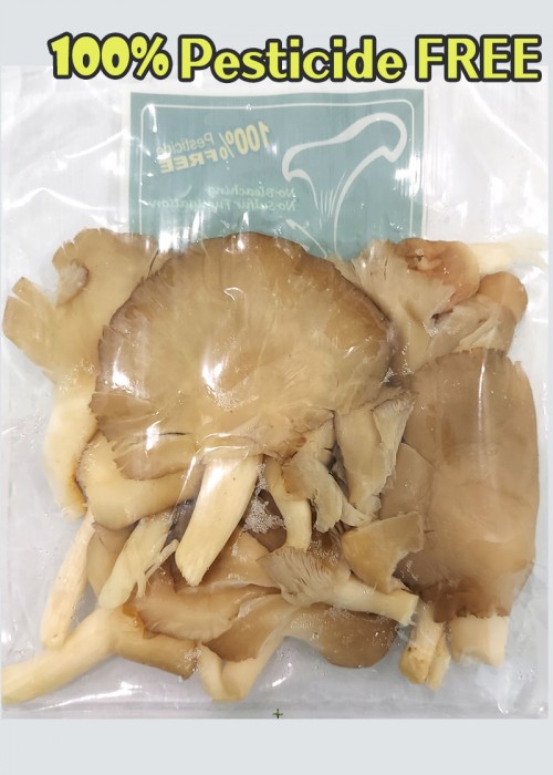 Oyster Mushroom com